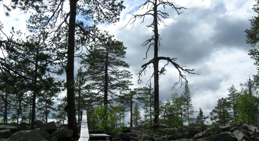img47521-1100×600