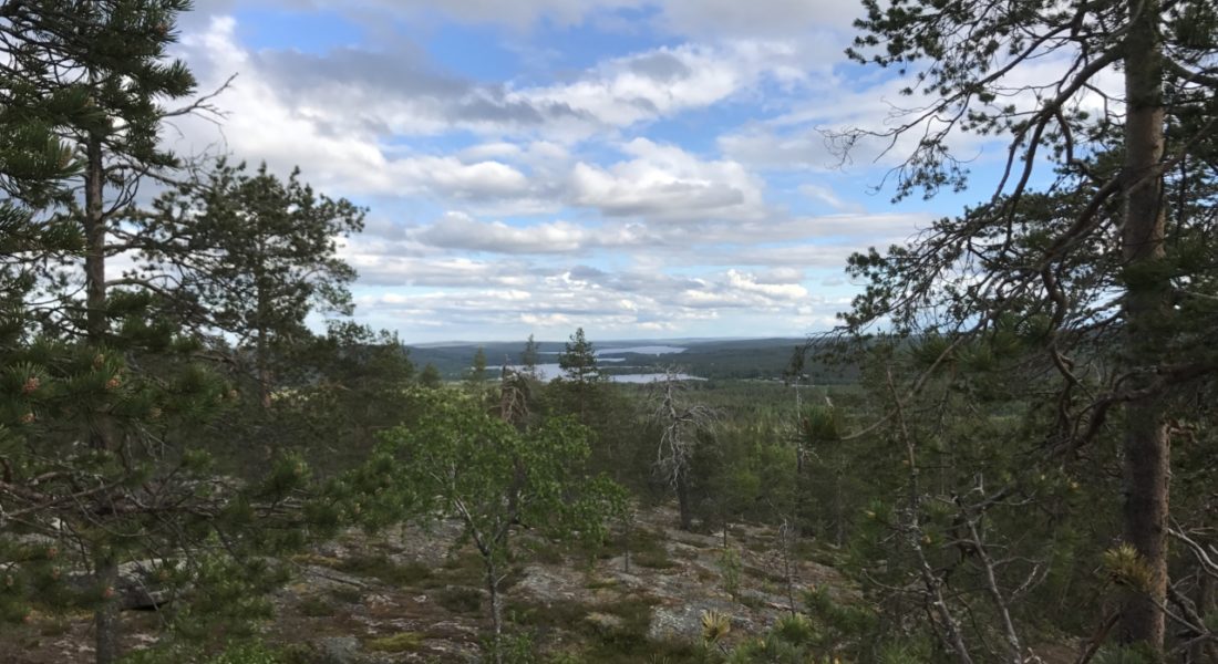 karhunulkin-luontopolku-2-1100×600