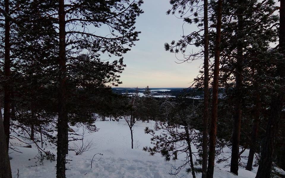 karhunulkin-luontopolku-3-960×600