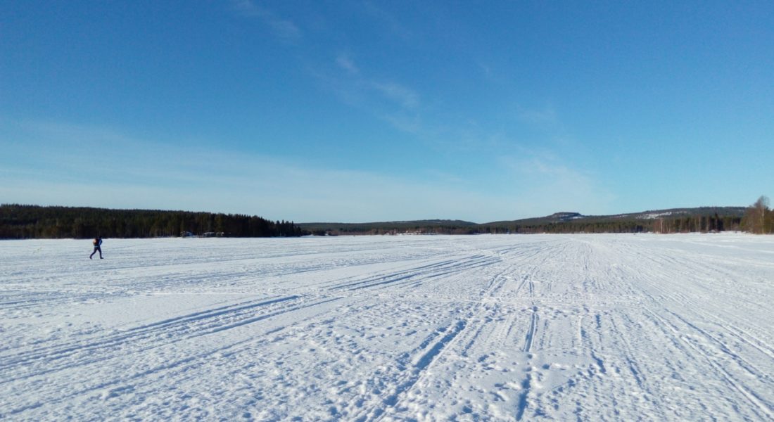 lehtojarvi-6-1100×600