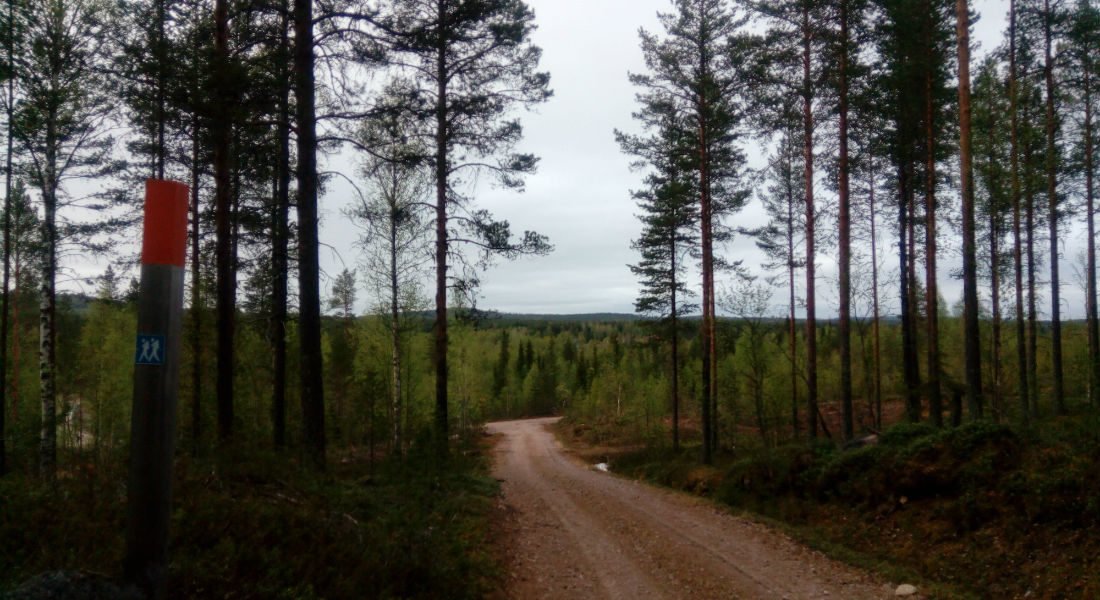 mantyvaara-pohtimolampi-ulkoilureitti-3-1100×600