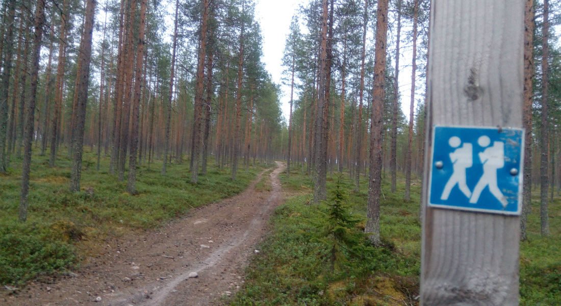 mantyvaara-pohtimolampi-ulkoilureitti-4-1100×600