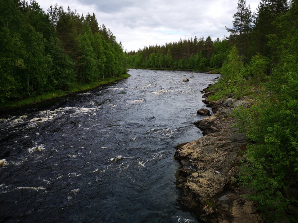 meltausjoki-verne