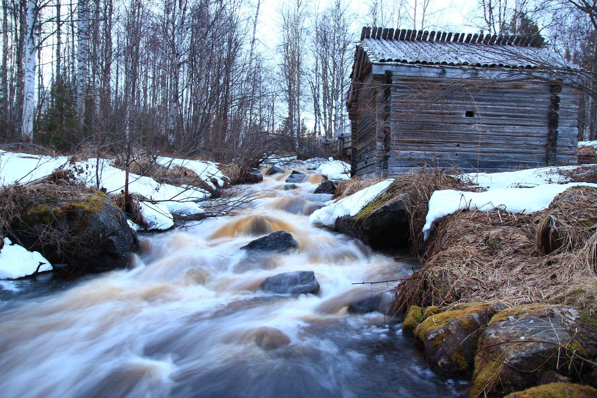 pasi-tarvainen