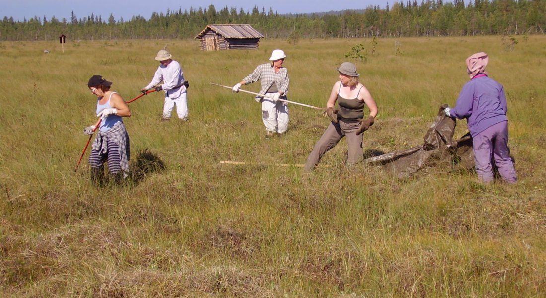 niittotalkoot-niittypolun-kivalonaavalla1920-1100×600